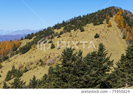 從山上遠眺熊澤山和八嶽山。 從山上遠眺熊澤山和八嶽山。 75950824