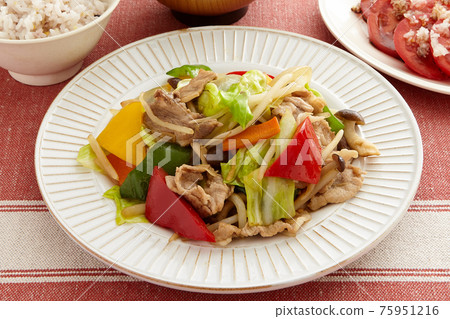 五顏六色的炒肉和蔬菜的健康菜單 五顏六色的炒肉和蔬菜的健康菜單 75951216