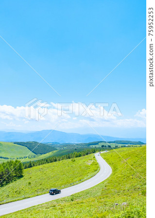 Venus Line (Summer) Venus Line (Summer) 75952253