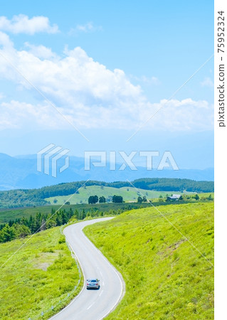 金星線（夏季） 75952324