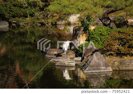The quiet Sento Imperial Palace of the Corona 75952421