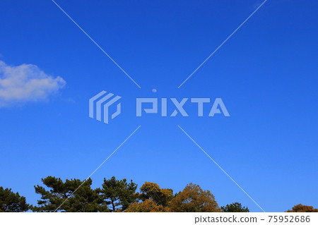 藍天和雲彩和月亮 75952686
