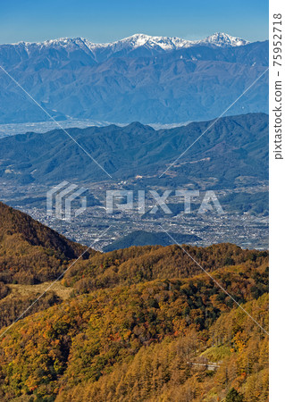 從山上看到的落葉松黃葉和白峰山。 75952718