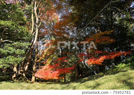 The quiet Sento Imperial Palace of the Corona The quiet Sento Imperial Palace of the Corona 75952781