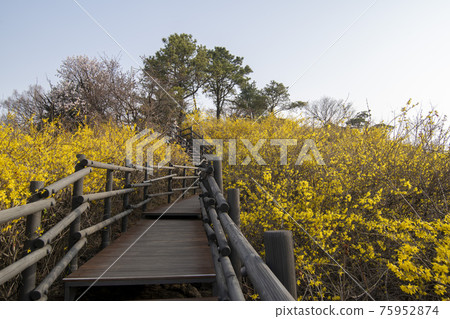 Eungbongsan, Seongdong-gu, Seoul 75952874