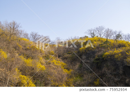 首爾城東區Eungbongsan 75952934