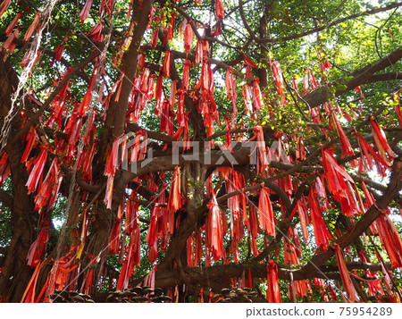 Suitien Park (Vietnam) Suitien Park (Vietnam) 75954289