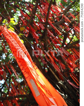 Suitien Park (Vietnam) Suitien Park (Vietnam) 75954290