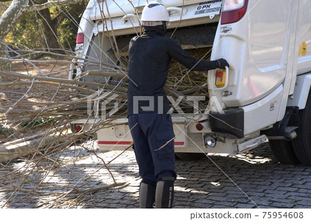 Work scene of collecting cut branches 75954608