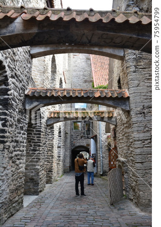 亞歷山大的聖凱瑟琳 亞歷山大的聖凱瑟琳 75954799