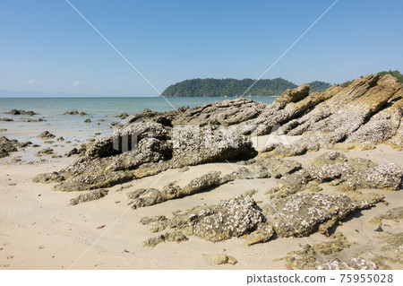 beautiful scene, tropical sea and beach with blue sky background in koh phayam at ranong province southeast asia Thailand 75955028
