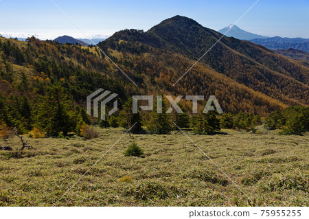 Daibosatsu Ridge和Ishimaru Pass以及小金澤山和富士山的草原景觀 Daibosatsu Ridge和Ishimaru Pass以及小金澤山和富士山的草原景觀 75955255