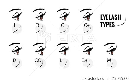 Eyelash types. Curved female eyelashes extension, various length and bend. Profile view of woman eyes with long fake lashes. Isolated models of face makeup. Vector beauty salon service 75955824