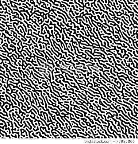 Cyclic Symmetric Multiscale Turing Pattern. Monochrome texture 75955866