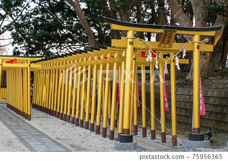 Hoshiimo Shrine Gold Torii Hoshiimo Shrine Gold Torii 75956365