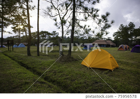 Camping and tent in nature in the summer time. Camping and tent in nature in the summer time. 75956578