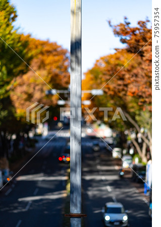 Omotesando Omotesando Hills luxury brand overlooking downtown Tokyo road skyscraper car pedestrian bridge autumn noon morning 75957354