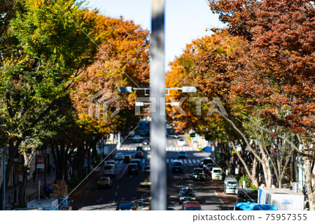 Omotesando Omotesando Hills luxury brand overlooking downtown Tokyo road skyscraper car pedestrian bridge autumn noon morning 75957355