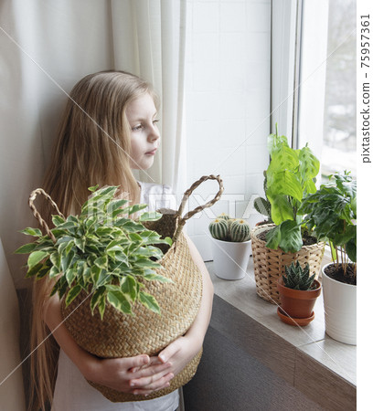 Little girl caring for houseplants 75957361