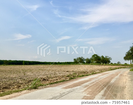 一條路 一條路 75957461