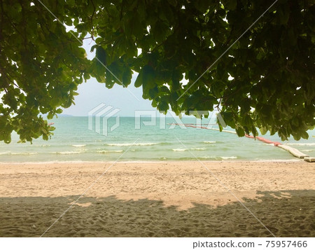 The sea peeking through the leaves The sea peeking through the leaves 75957466