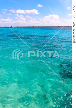 Miyakojima Kuruma Ohashi 75957729