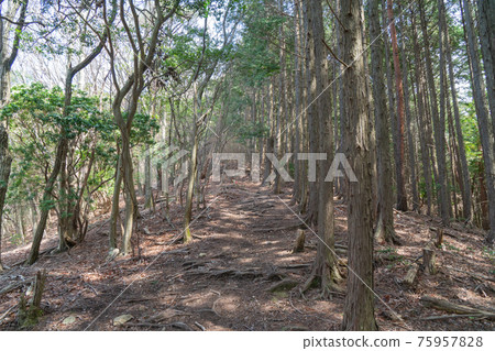 Mountain trail from Haibarakaiba Pass to Haibarakaiba (mountain climbing course of Mt. Nukaitake and Mt. Haibarakaiba) Mountain trail from Haibarakaiba Pass to Haibarakaiba (mountain climbing course of Mt. Nukaitake and Mt. Haibarakaiba) 75957828