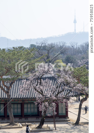 Changgyeonggung, Jongno-gu, Seoul 75958025
