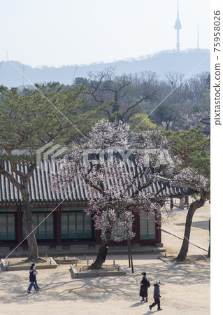 Changgyeonggung, Jongno-gu, Seoul 75958026