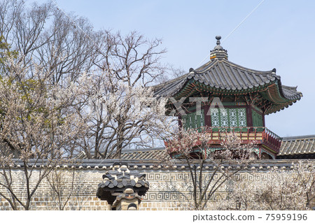 Changdeok Palace, Jongno-gu, Seoul 75959196