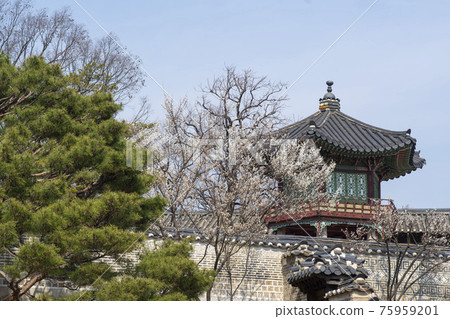 Changdeok Palace, Jongno-gu, Seoul 75959201