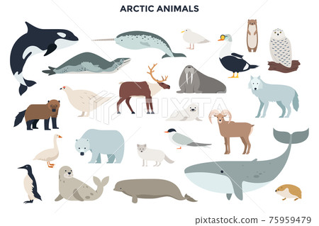 Vector Animals Set 75959479