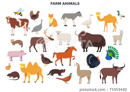 Vector Animals Set Vector Animals Set 75959480