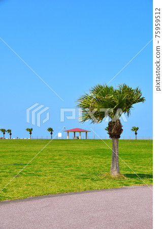 豐崎海濱公園 75959512