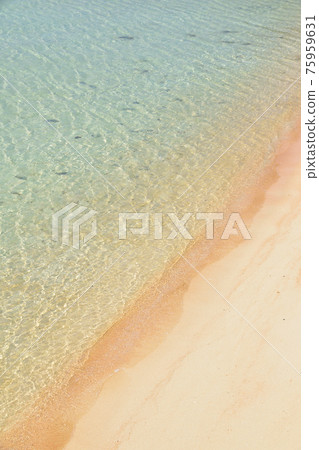 The beach in front of Hatoma Island 75959631