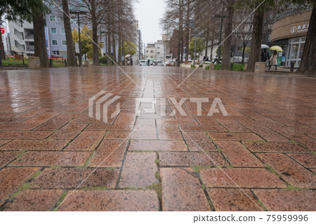 Cobbled on a rainy day 75959996