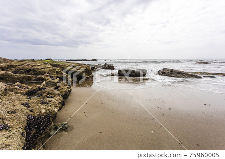 茨城縣日立市初崎海岸的岩石地帶 75960005