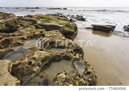 茨城縣日立市初崎海岸的岩石地帶 75960006