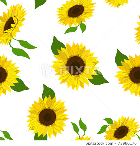 Seamless floral pattern, vector. Sunflowers on white background. Seamless floral pattern, vector. Sunflowers on white background. 75960176