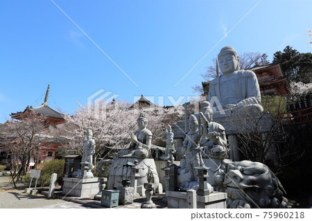 奈良縣坪坂寺的櫻花大佛 75960218