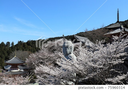 奈良縣坪坂寺的櫻花大佛 奈良縣坪坂寺的櫻花大佛 75960314