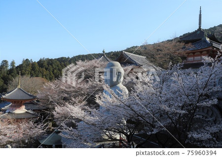 Sakura Daibutsu at Tsubosaka-dera Temple, Nara Prefecture Sakura Daibutsu at Tsubosaka-dera Temple, Nara Prefecture 75960394