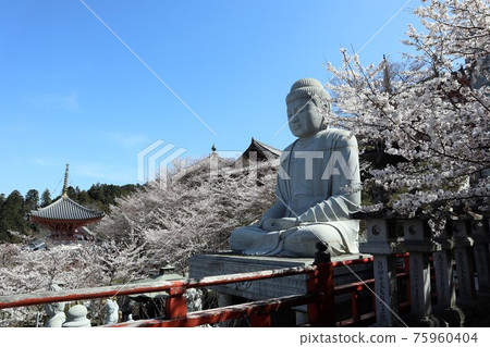 Sakura Daibutsu at Tsubosaka-dera Temple, Nara Prefecture 75960404