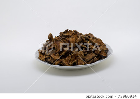 豬土豆 豬土豆 75960914