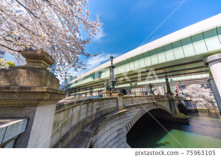 日本東京城市景觀的取消(緊急狀態再延長的取消)。日本橋和櫻花的景色 = 3 月 27 日 日本東京城市景觀的取消(緊急狀態再延長的取消)。日本橋和櫻花的景色 = 3 月 27 日 75963105