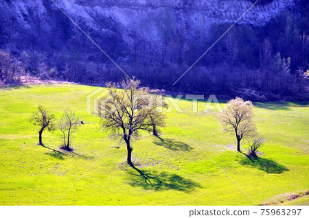 Montebabbio in spring 75963297