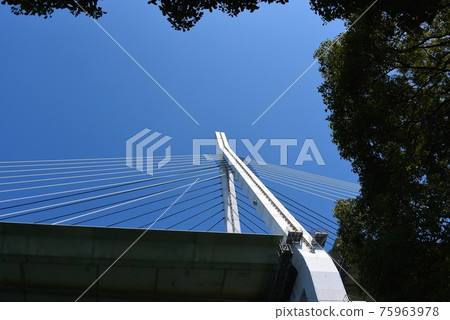 大阪天保山大橋斜拉橋從下往上看 大阪天保山大橋斜拉橋從下往上看 75963978