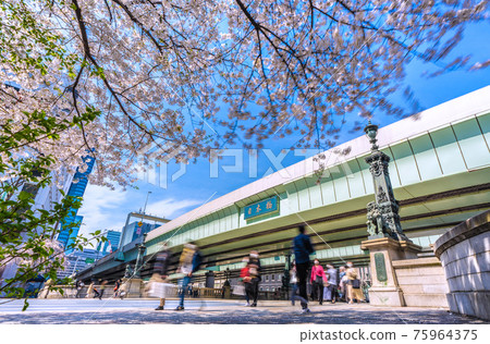 日本橋的東京都市風景,緊急狀態的再延長已經被解除。 “日本橋”前的櫻花盛開=3月27日 日本橋的東京都市風景,緊急狀態的再延長已經被解除。 “日本橋”前的櫻花盛開=3月27日 75964375