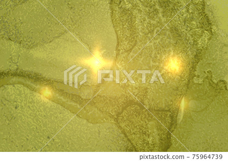 Green jadeite shining abstract marble background. Vector texture 75964739