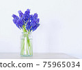 Glass bottle and Muscari 75965034